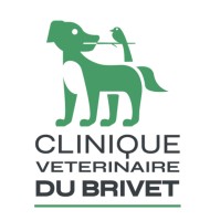 Clinique Vétérinaire du Brivet